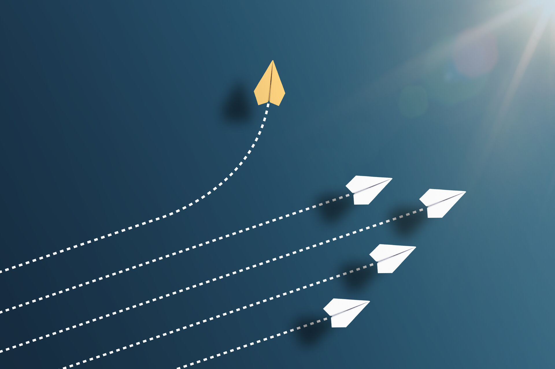 Industrial Software Development